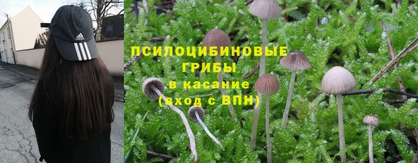 а пвп мука Гатчина