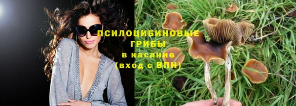 альфа пвп Покровск