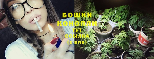 прущие крисы Пестово